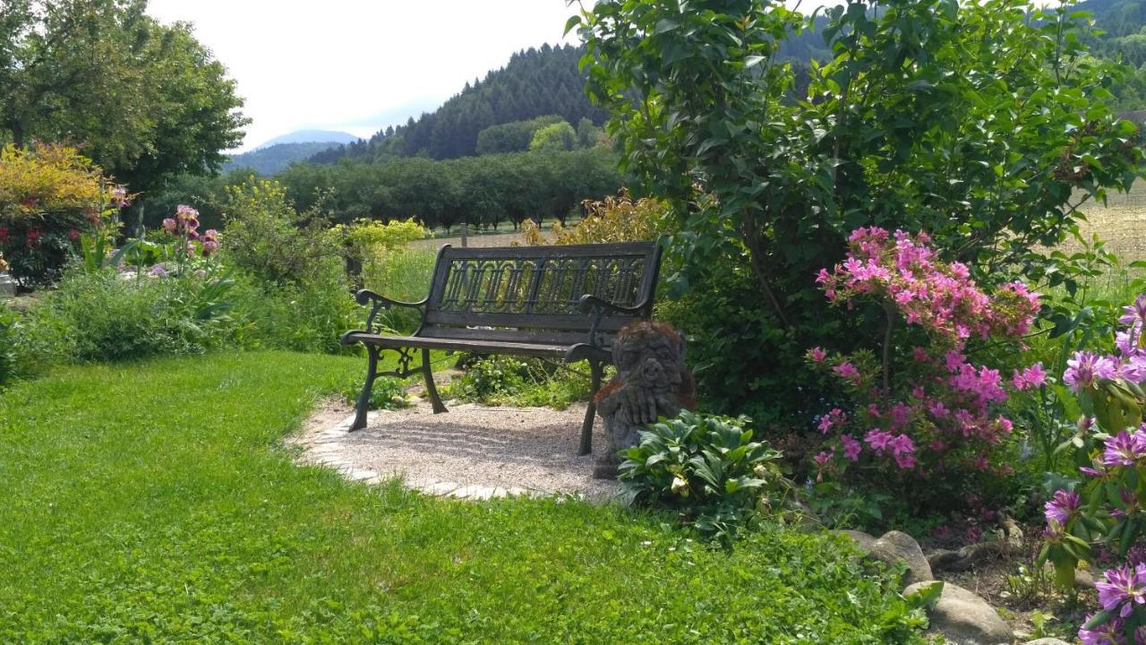 Ferienwohnung Belchenblick Щауфен им Брайсгау Екстериор снимка
